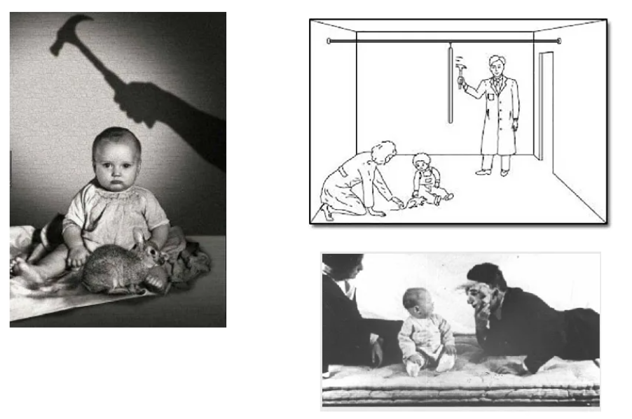 Эксперимент Уотсона с маленьким Альбертом
