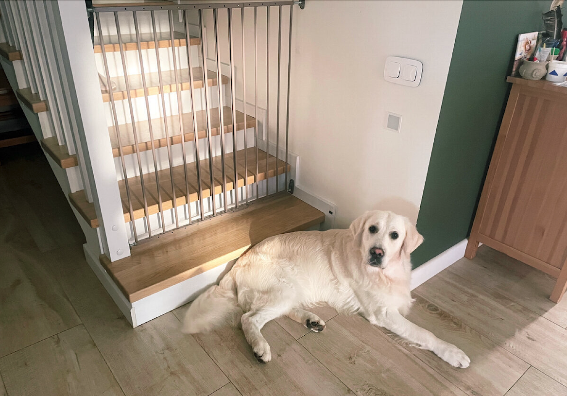 Ворота безопасности на лестнице.