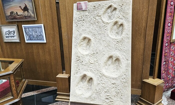 Источник фото: CentralAsia.news