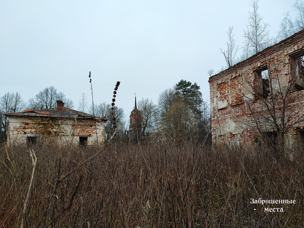 Дольское. Заброшенная усадьба. Успенская церковь. Фото автора 2023 год