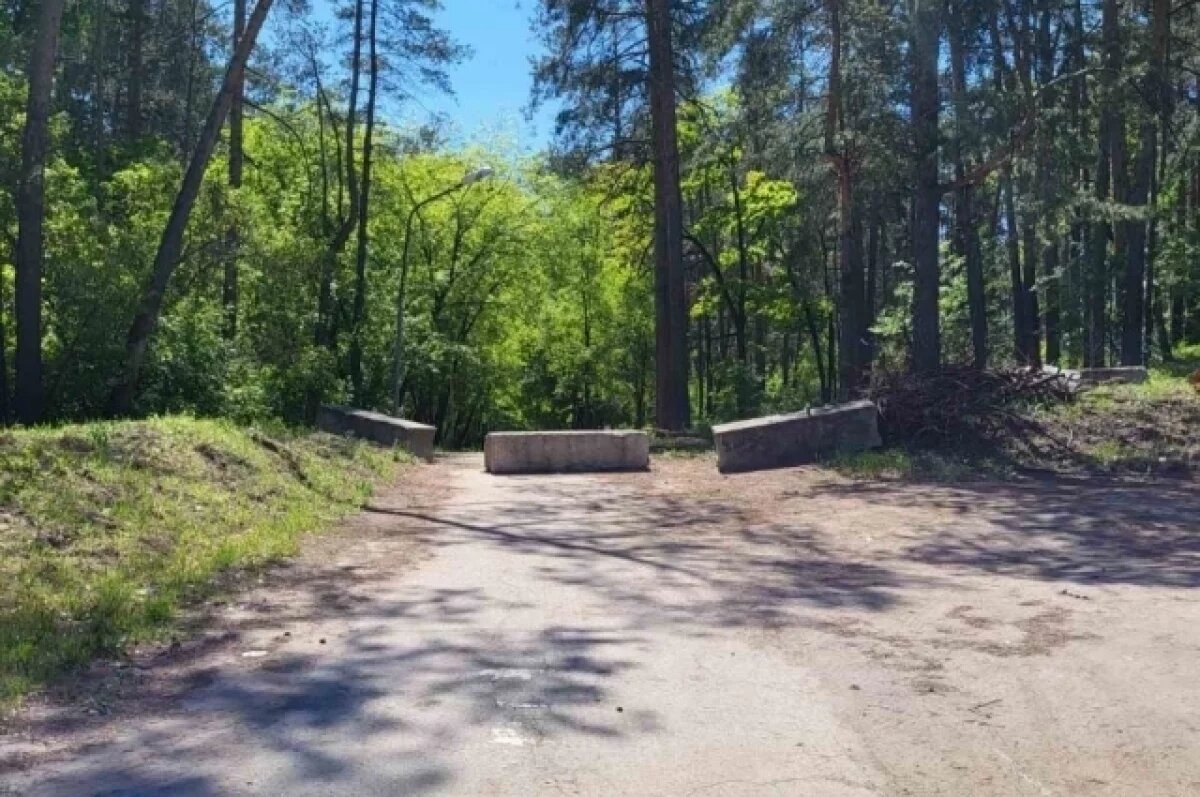    Молодой человек провел в лесу более четырех суток без воды и еды.