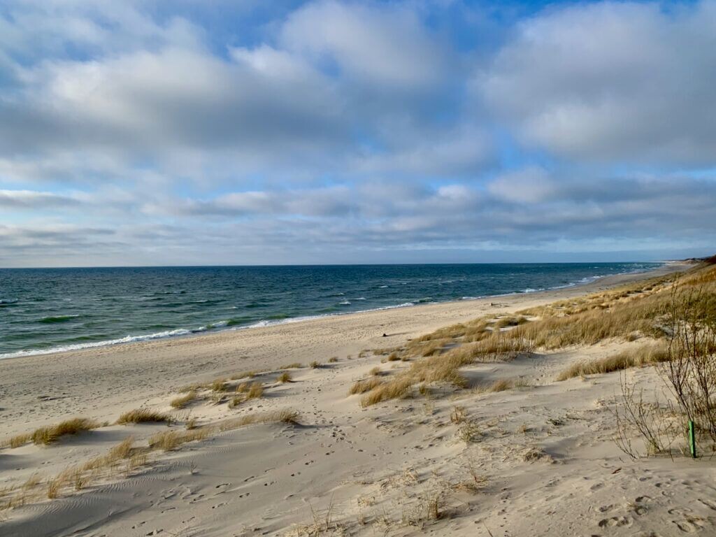 Куршская коса — удивительное природное явление: посреди моря тянется узкая полоса песка длиной сто километров. На ней вас ждут девственная балтийская природа, огромные дюны и танцующие сосны.