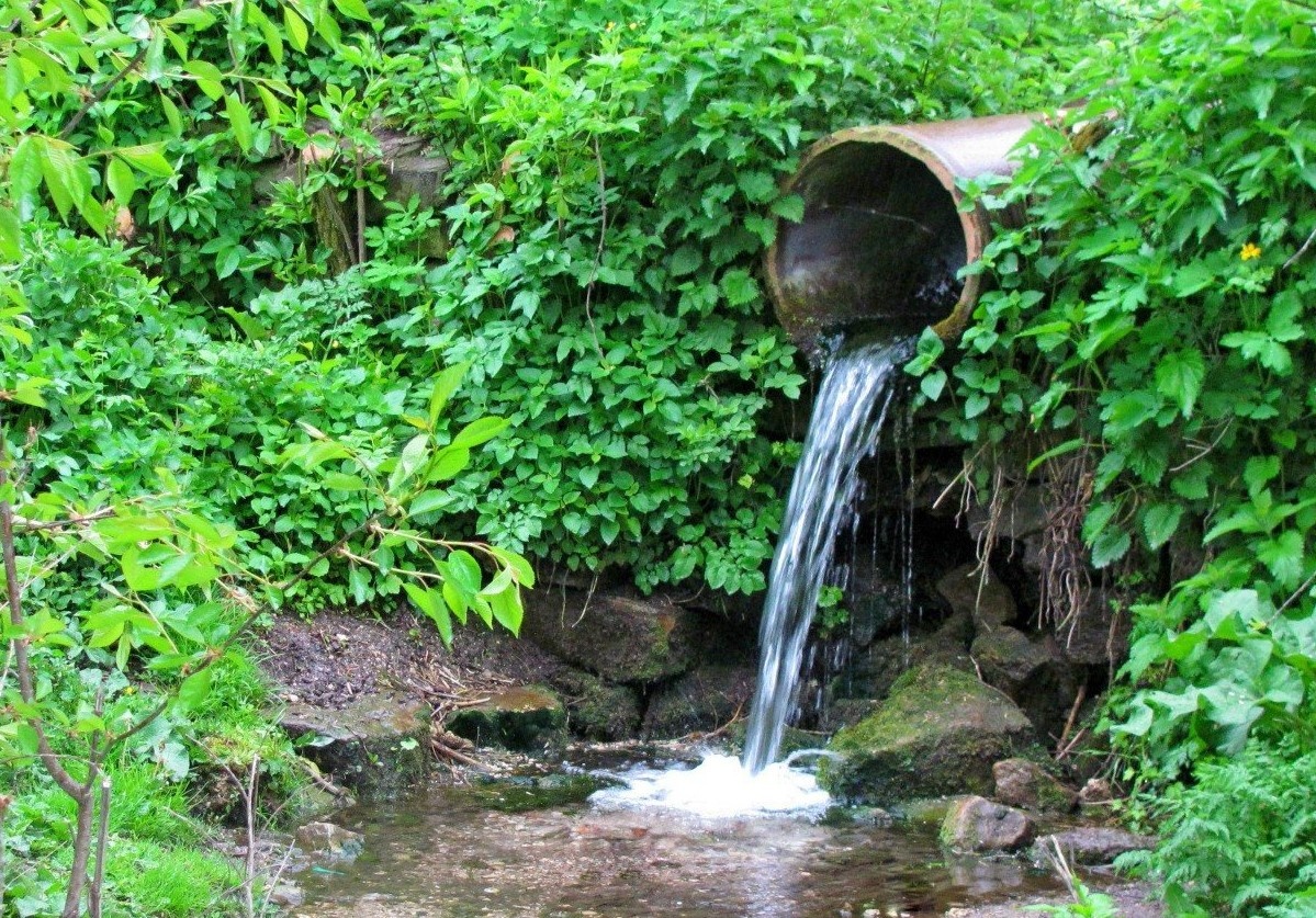    Росгидромет считает, что вода в Ивановской области становится чище