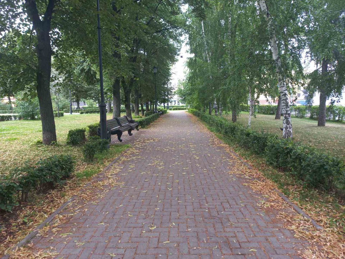 Фото автора.