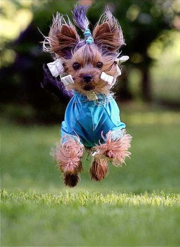 Немного юмора