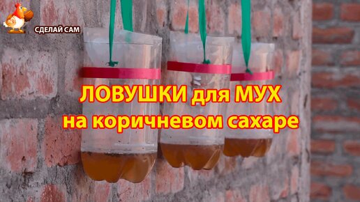 Ловушка для мух и мошек с коричневым сахаром 🪰🪰🪰