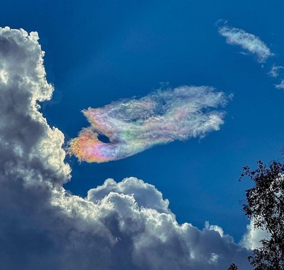 Облако, причудливо окрашенное во все цвета радуги наблюдали сегодня у себя над головой жители Новосибирска.