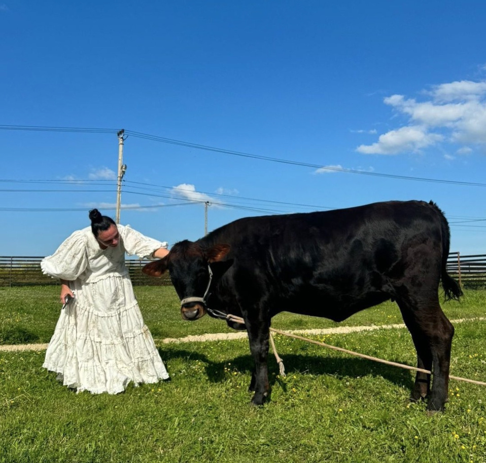 Фото из открытых источников