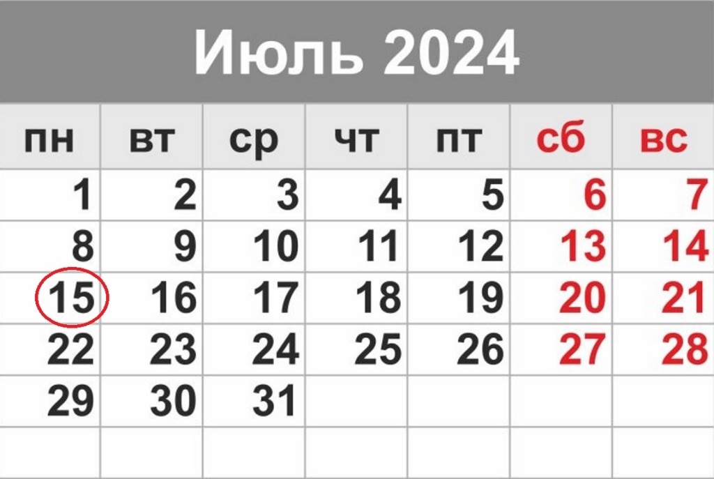Еще раз смотрим на календарь, запоминаем крайний срок уплаты НДФЛ