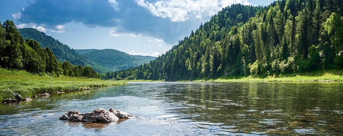 @anmiiv/Shutterstock