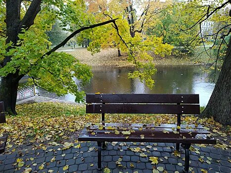 Из-за жары в столице начался листопад, рассказал причину агентству «Москва» научный руководитель Гидрометцентра России Роман Вильфанд.