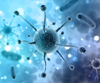  Исследователи из Северо-Западного государственного медицинского университета имени И.И. Мечникова разработали новый антимикробный препарат, способный бороться с устойчивыми к антибиотикам бактериями.