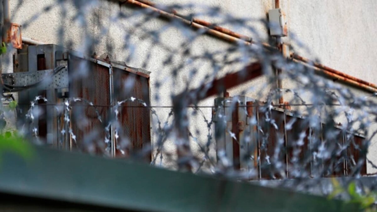 Фото: https://tvzvezda.ru/ (https://mcdn.tvzvezda.ru/storage/news_other_images/2024/05/22/307554396c9f4563877b1f0c083a0dc2.jpg)