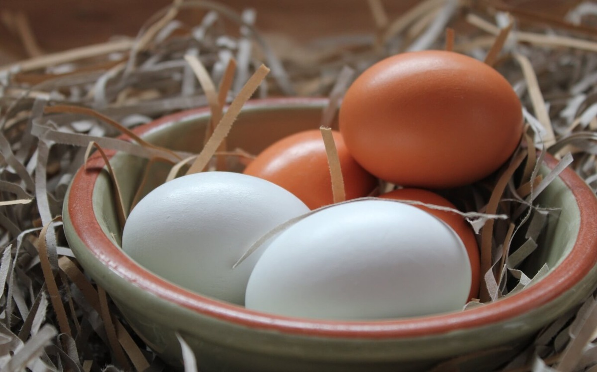    Разному цвету куриных яиц есть простое объяснение. Источник: novochag.ru
