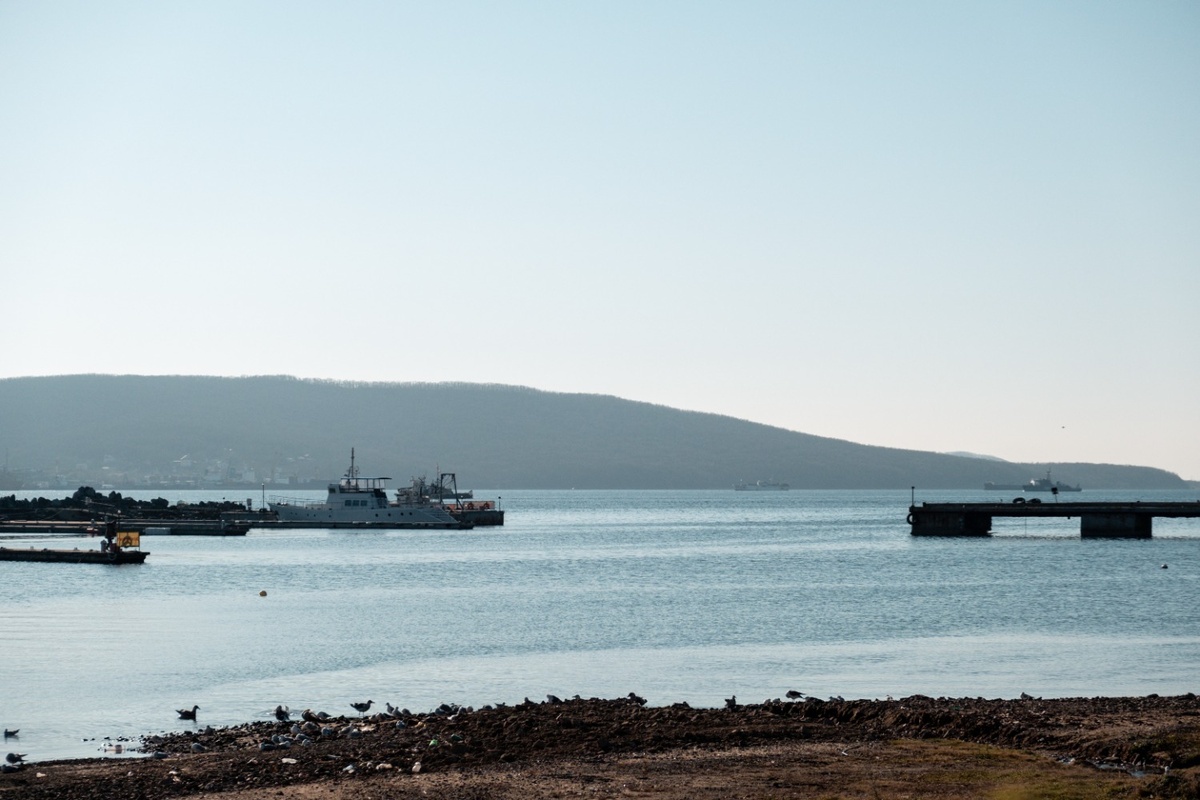     Источник: 1MI