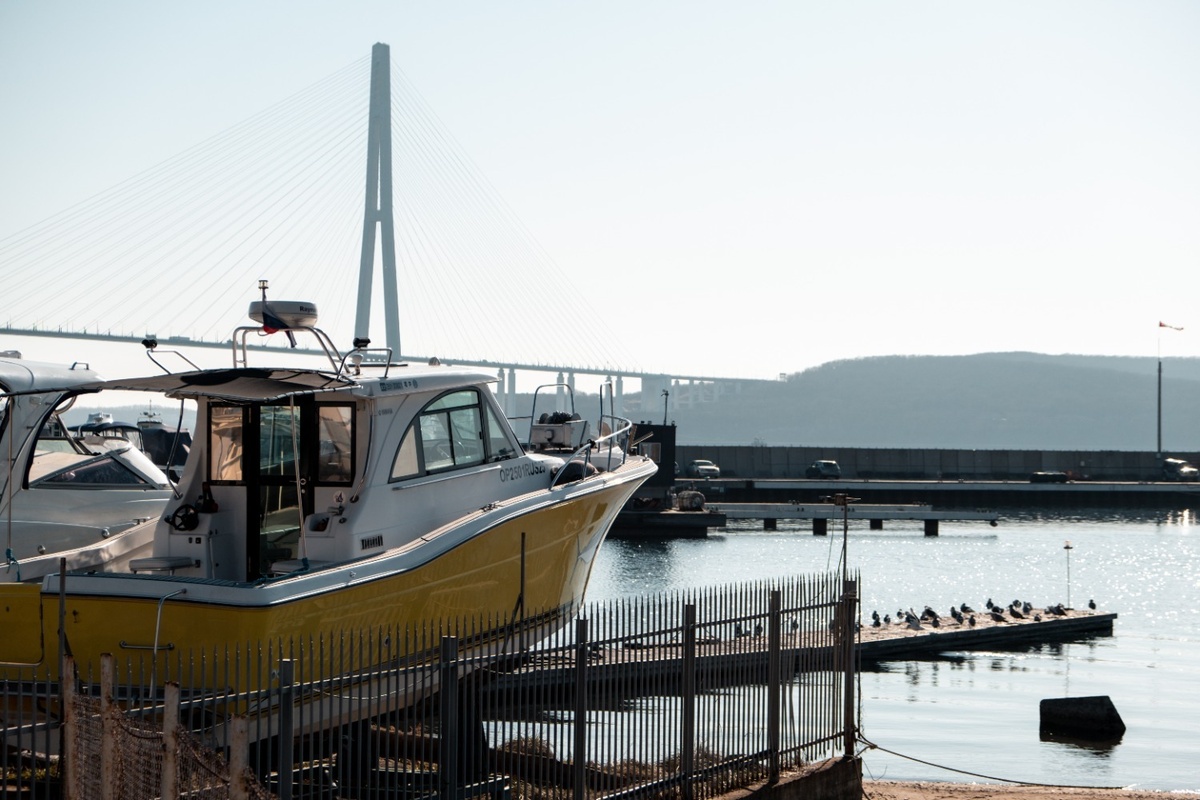     Источник: 1MI