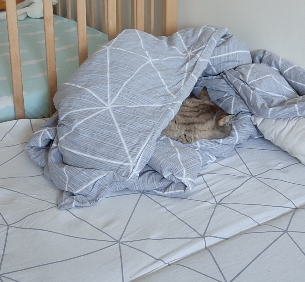 Вот так бы я хотела провести свой день)) 