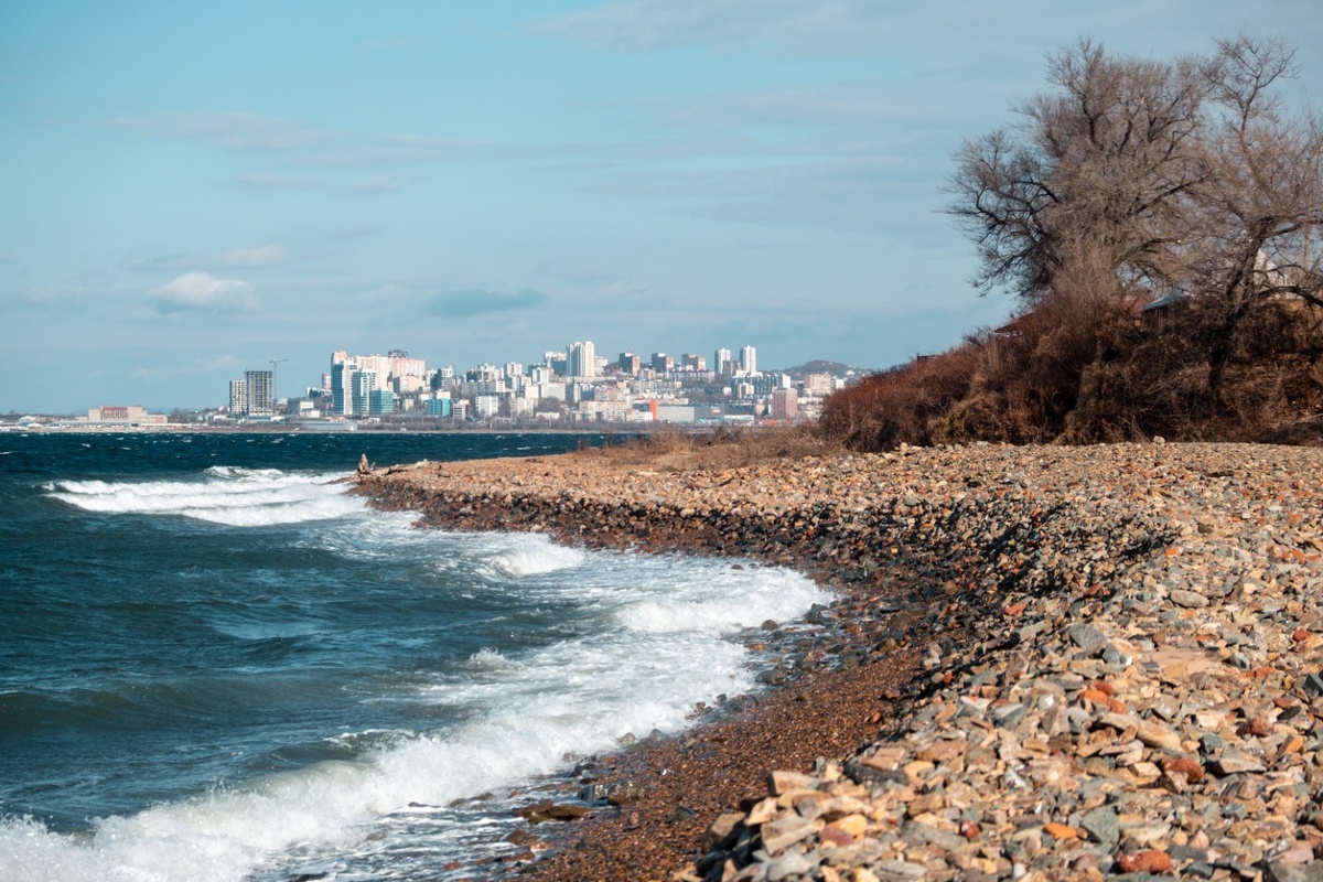     Источник: 1MI