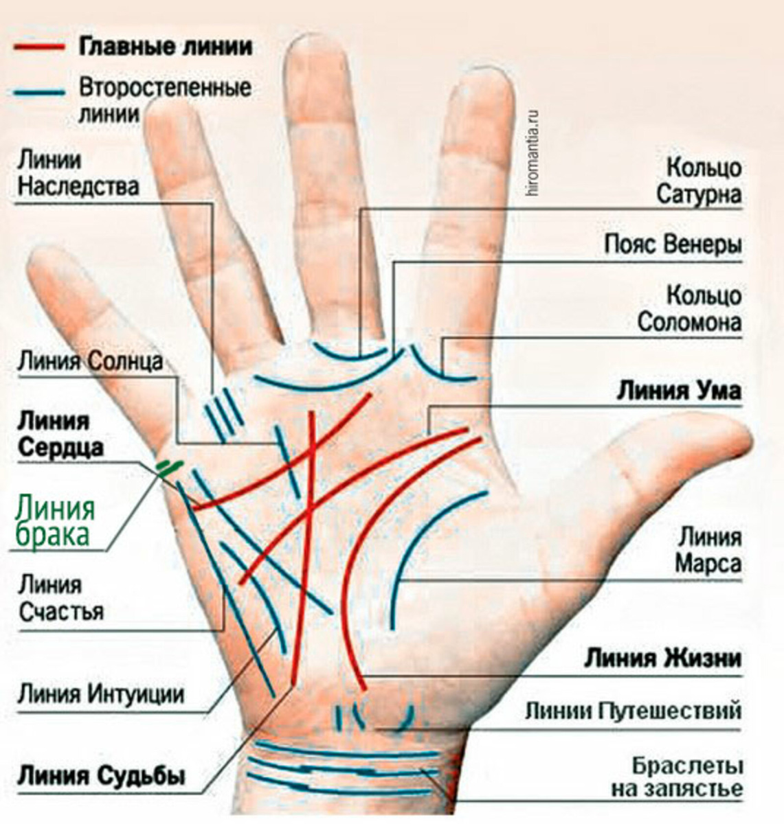 Из общедоступных источников 
