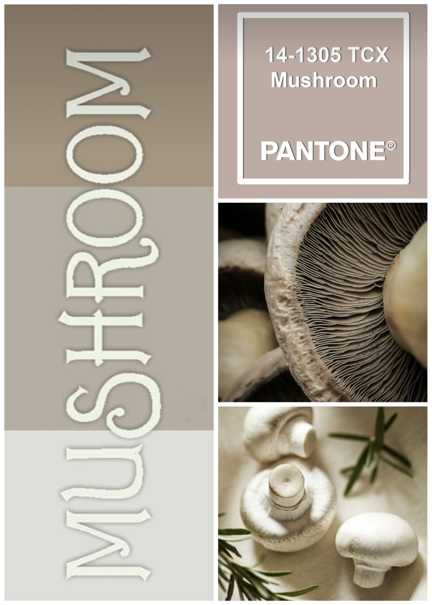 Я очень советую обращать внимание на обои под покраску. Это бюджетнее и легче в эксплуатации, чем штукатурка, плюс вы всегда можете легко обновить свой интерьер, просто купив новую банку краски. Мои любимые фирмы Dulux и Aturi Design моющаяся для стен и потолков. Aturi круче тем, что можно купить мини-баночки для выкрасов, чтобы увидеть и понять «ваш» это цвет или нет еще до того, как вы проделаете грандиозную работу по окрашиванию всего помещения. Dulux и Aturi по качеству примерно одинаковые. У подруги Dulux, но в Леруа с цветом не угадали и в итоге доколеровывали самостоятельно уже на месте. 