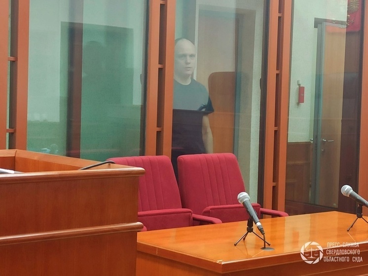     Обвиняемый / фото: пресс-служба Свердловского областного суда
