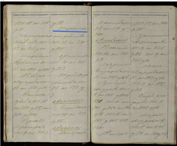 Трофим Михайлович, Том 13, кн 330, д. 174