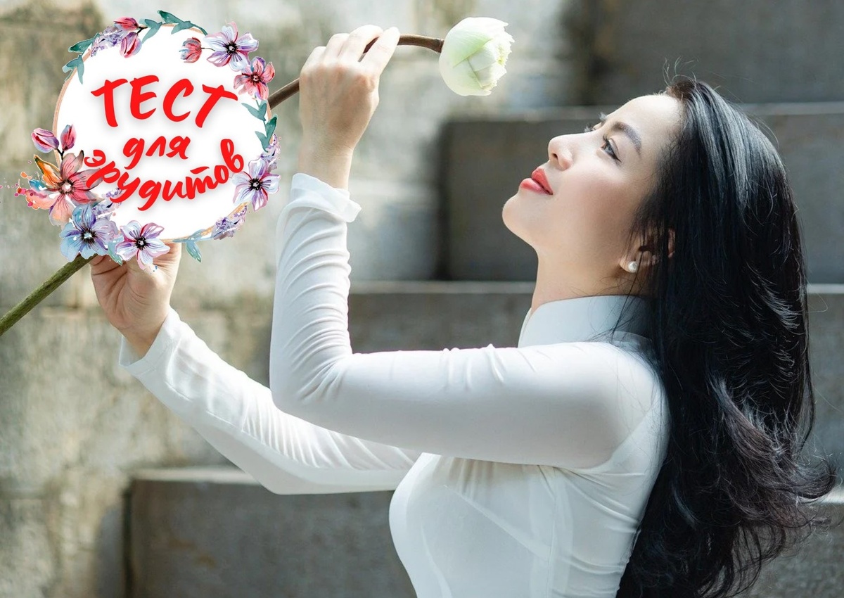 Источник изображения: pixabay.com, дизайн автора публикации