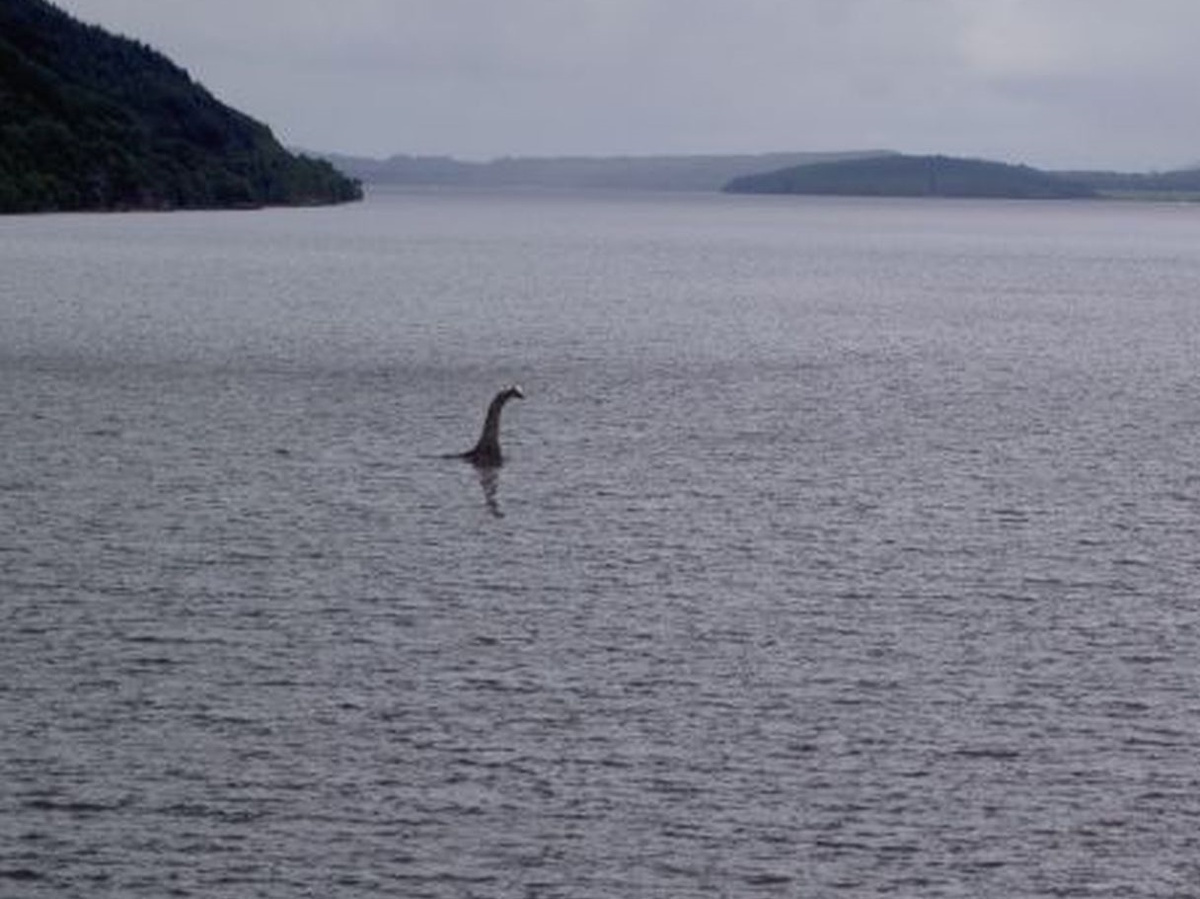 Что за существо обитает в Аргентине?
Источник фото: https://f8.pmo.ee/gaDSA8Jw1CGQIJYcbPEp_wRZ3KQ=/1536x0/nginx/o/2010/01/08/293317t1hcee9.jpg