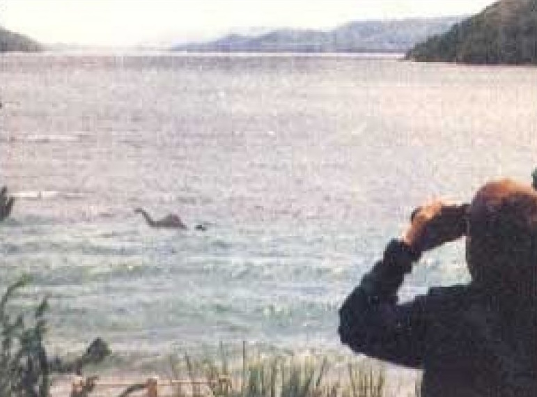 Змей или родственник плезиозавра?
Источник фото: https://anomalien.com/wp-content/uploads/2021/04/nahuelito2.jpg