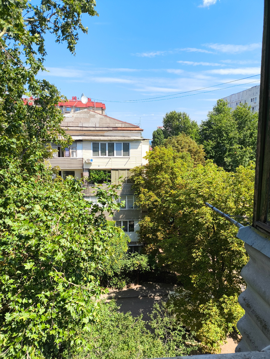 Справа от дома на фото - каштан. Листья начали жухнуть.. 