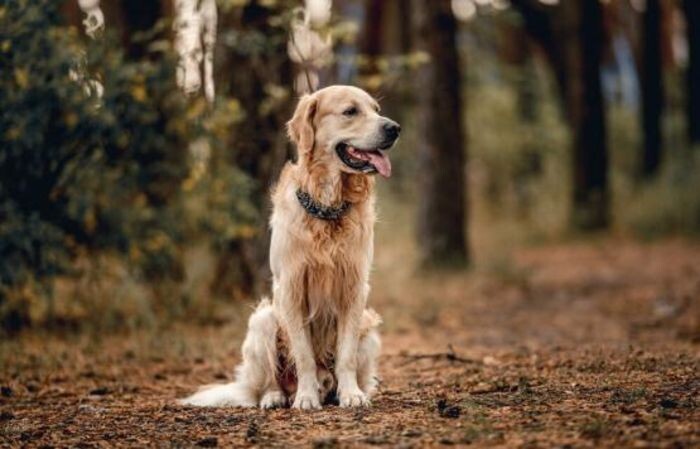 Источник фото: ru.freepik.com