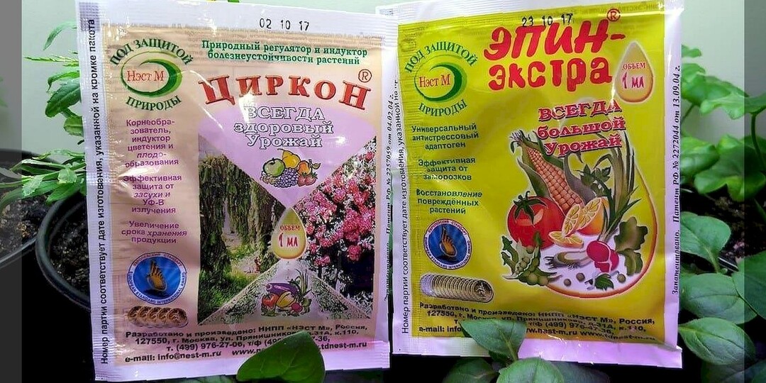 50 новых вопросов от дачников новичков: дачные заботы садоводов и огородников в вопросах и ответах