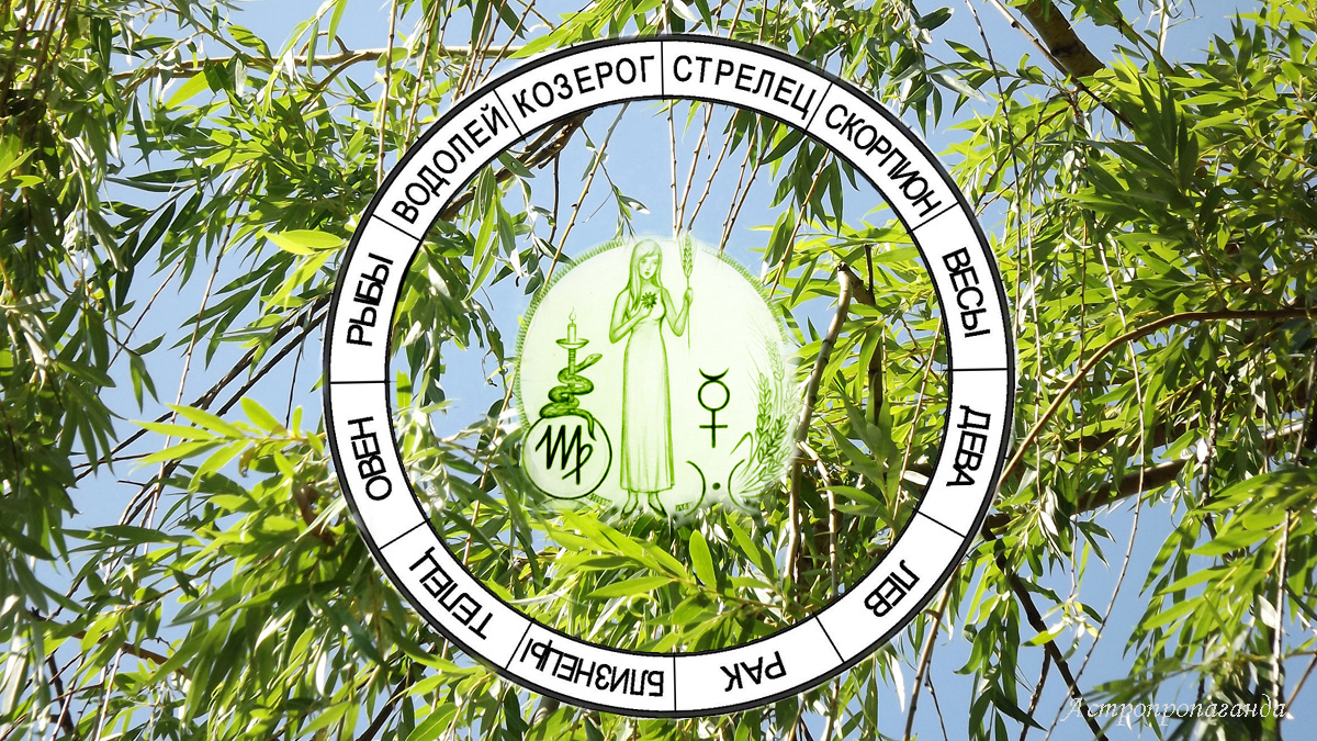 Гороскоп для Девы с 8 июля по 4 августа 2024. 