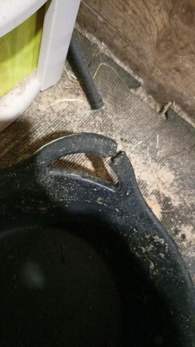 первый этап уничтожения кормушки😂