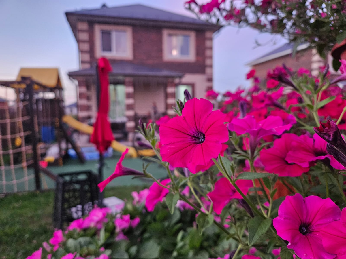 Люблю лето за то, что красоты на участке просто немерено. Давайте покажу?)