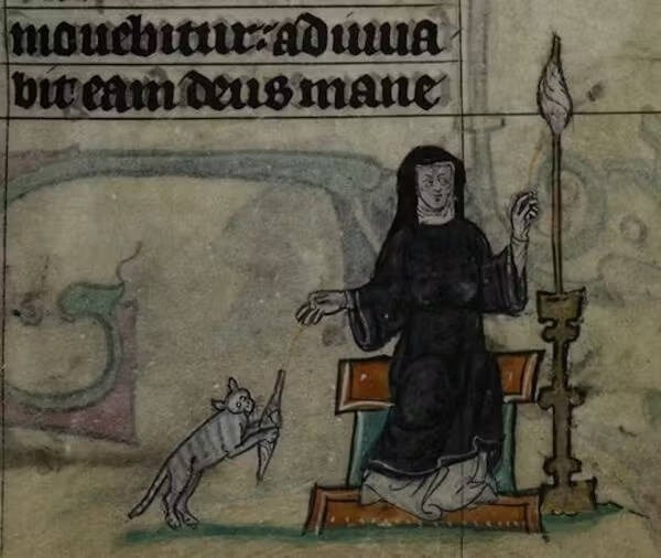    Кот, играющий с веретеном, на иллюстрации XIV века из книги «Часы Маастрихта» /Public Domain