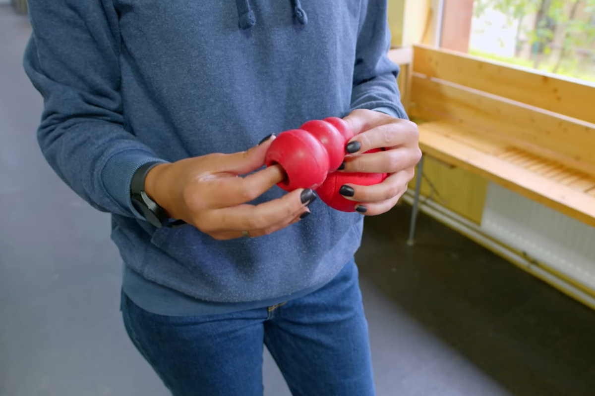    Инструктор по дрессировке рассказала, какие игрушки полезны для собак