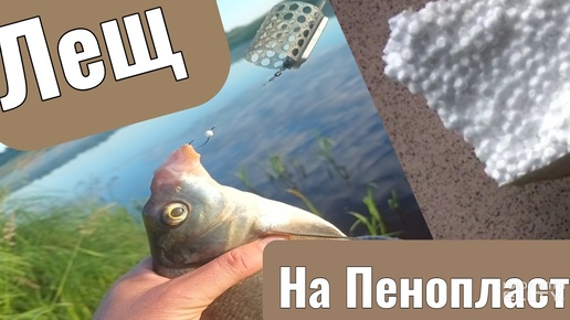 На пенопласт рыба клюет крупнее!?????