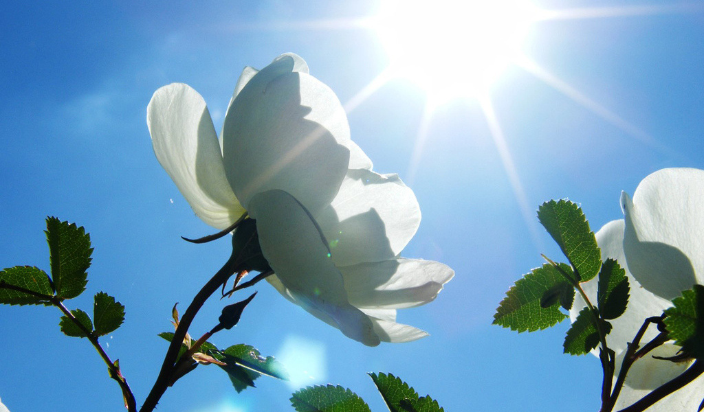 Защита поля. Как можно получить защиту и как она действует