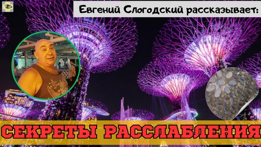 Восстановите своё зрение с помощью этого уникального метода – удивительные результаты ждут вас!