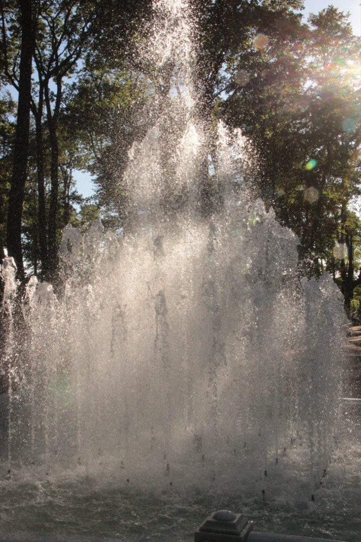 Фотография автора