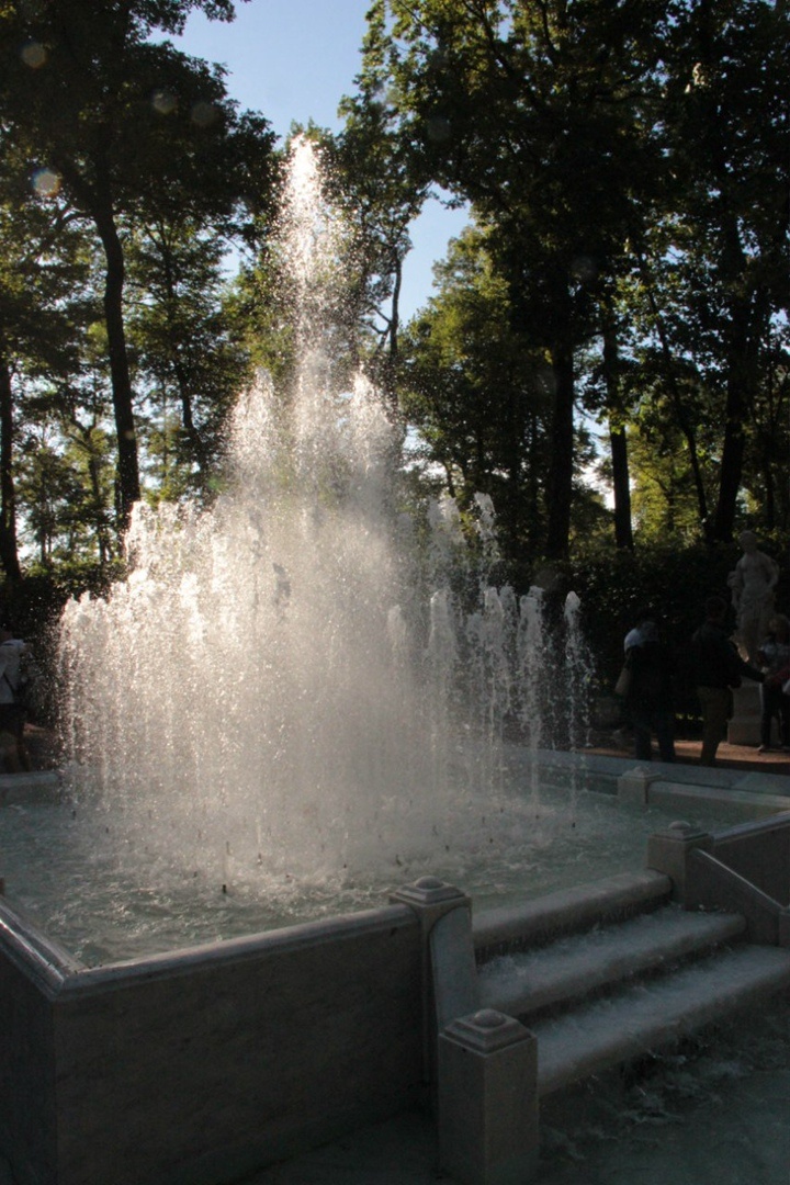 Фотография автора