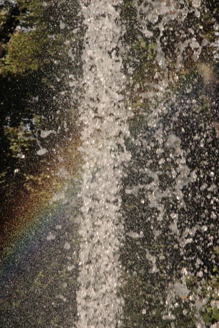 Фотография автора