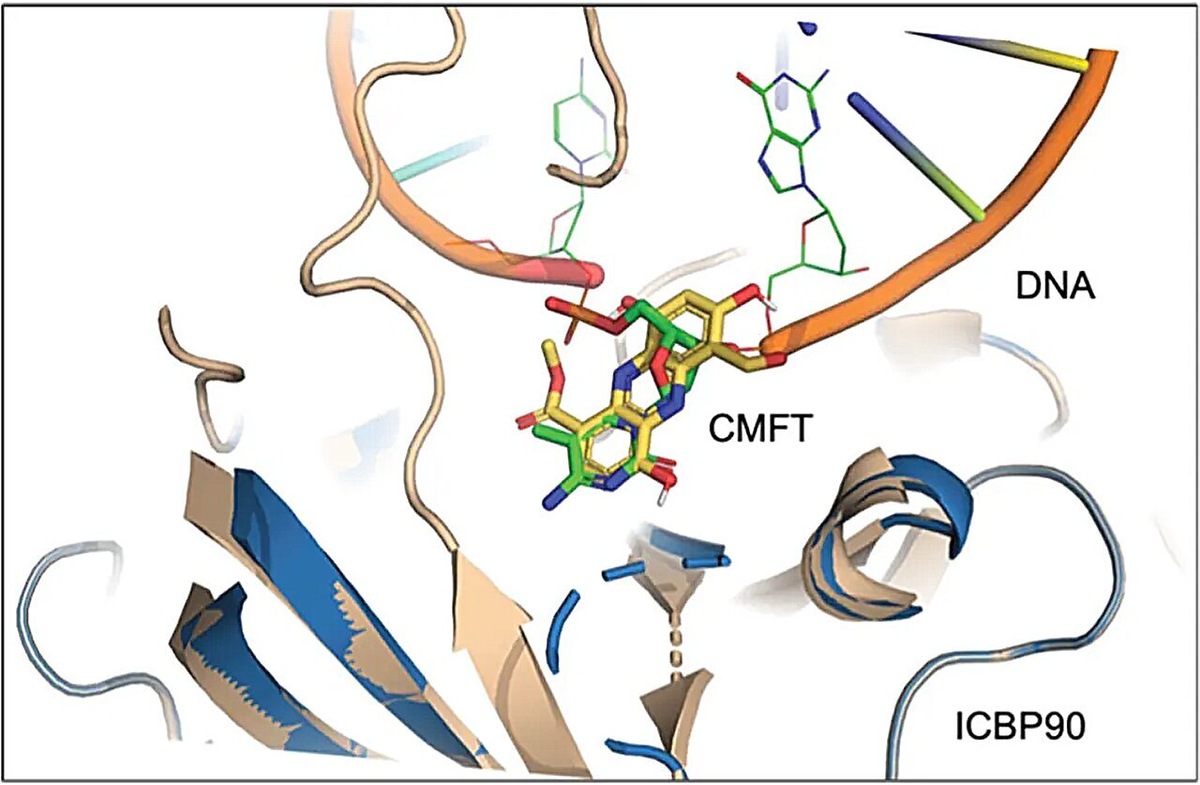    Journal of Biological Chemistry