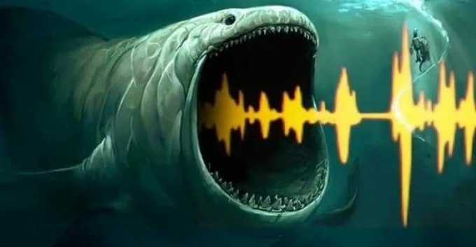 Блуп рыба монстр. Блуп звук в океане. The bloop морской монстр. Акула блуп. Блуп.