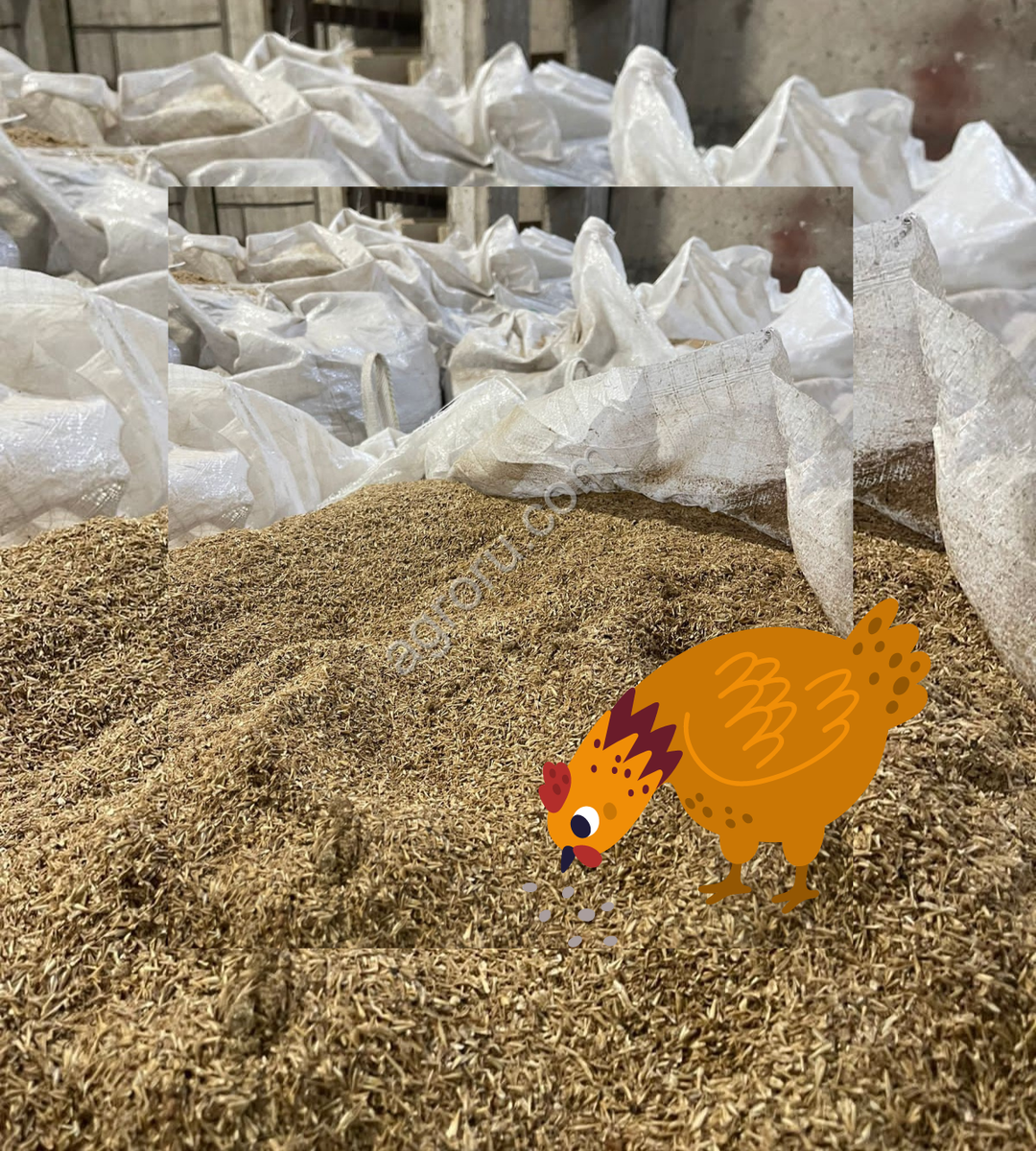 Пивная дробина. Добавка к основному корму. 