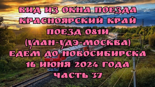 Вид из окна поезда/ Красноярский край/ Поезд 081И (Улан-Удэ-Москва)/ Едем до Новосибирска/ 16 июня 2024 года/ Часть 37.