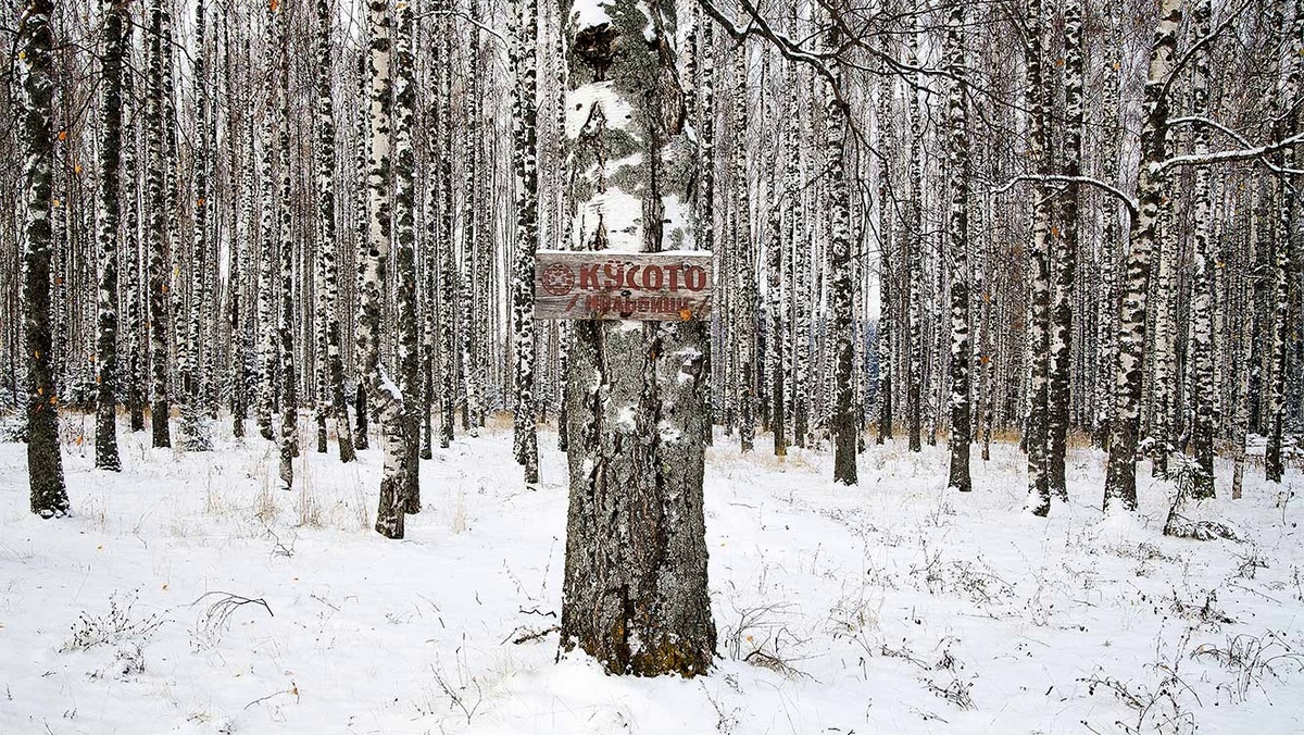 Священная роща марийцев/ © svoboda.org