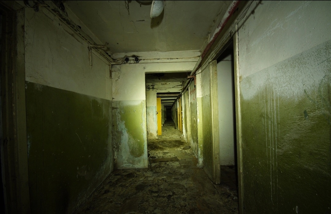 зеленый кордидо в пустоту 