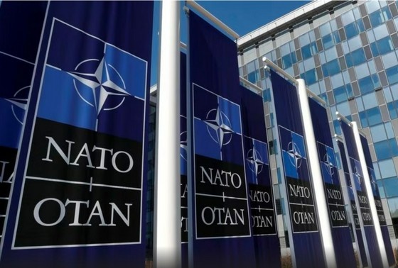 На сайте НАТО была опубликована итоговая декларация Альянса, подписанная главами стран — участников военного блока по результатам саммита в Вашингтоне.